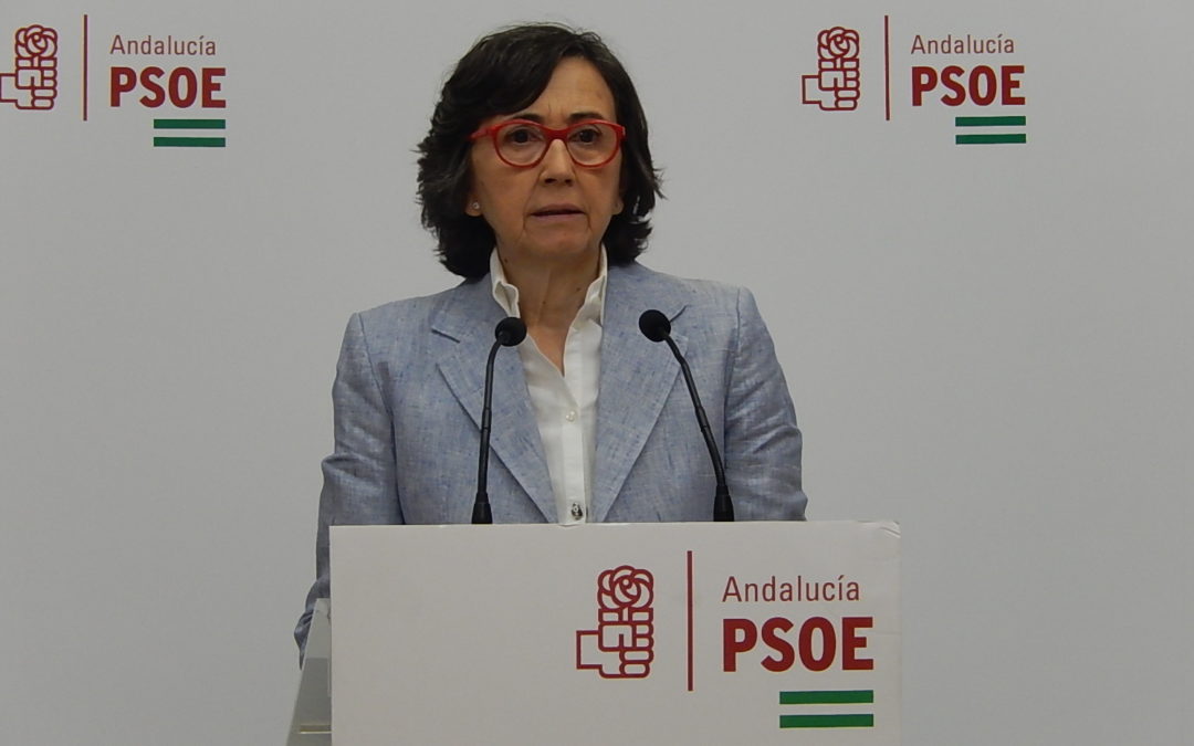 El PSOE de Córdoba critica que la Junta de Andalucía ha dejado sin ayuda al 52 por ciento de los cordobeses en ERTES