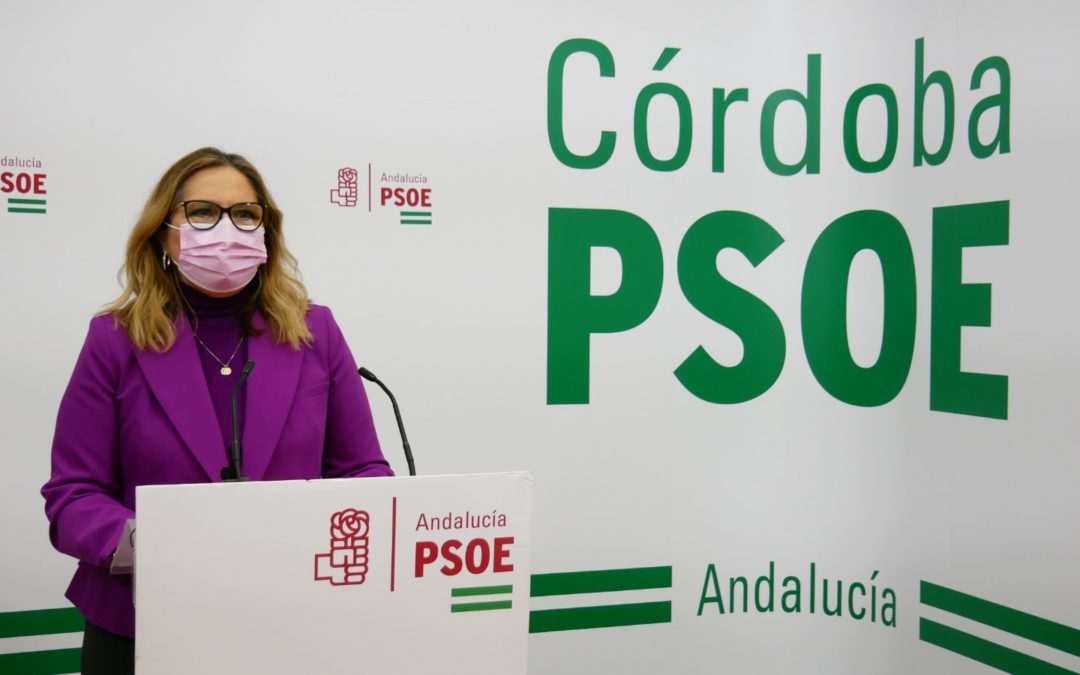 El PSOE de Córdoba asegura que el nuevo complemento de maternidad y paternidad reducirá la brecha de género en las pensiones
