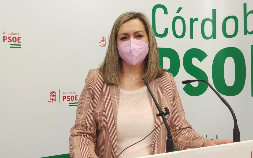 El PSOE de Córdoba destaca que el Gobierno de Pedro Sánchez ha impulsado el proyecto de la autovía de la N-432