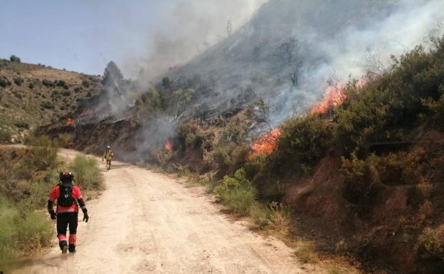 El PSOE de Córdoba exige a la Junta de Andalucía responsabilidades por la calificación del incendio de Alcaracejos