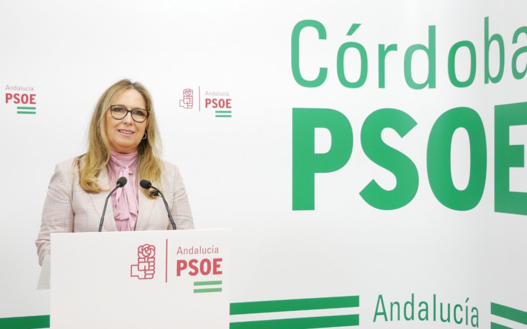 El PSOE de Córdoba celebra que el Gobierno de Sánchez apoye al turismo de Córdoba como Ciudad Patrimonio de la Humanidad y al comercio de la provincia